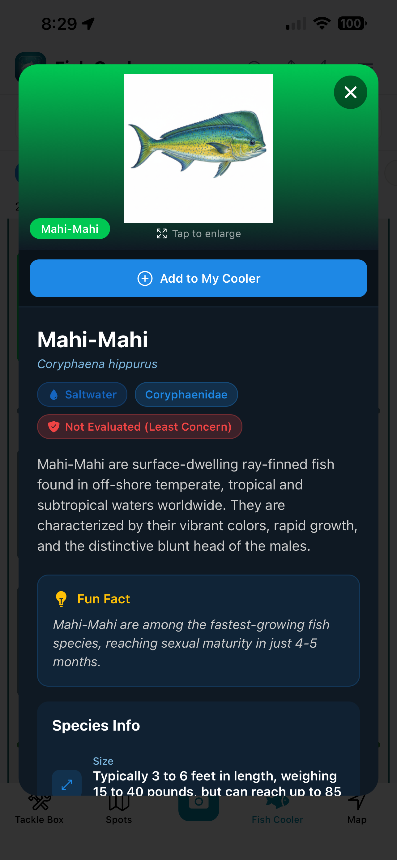 Fish ID Screenshot